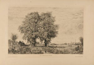 Les Ormeaux de Cénon