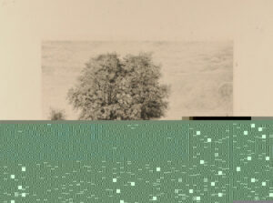 Les Ormeaux de Cénon