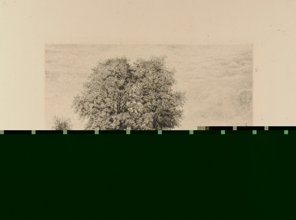 Les Ormeaux de Cénon