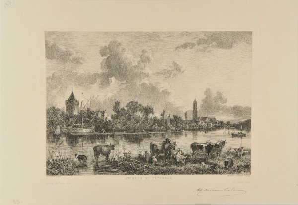 Animaux au pâturage