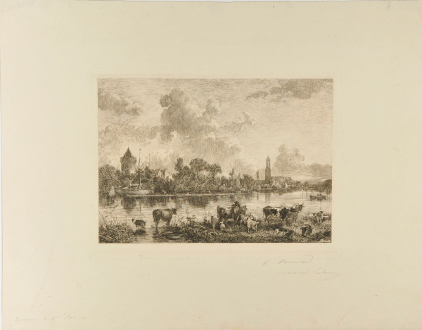 Animaux au pâturage