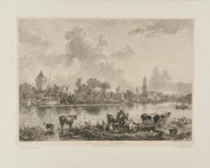 Animaux au pâturage