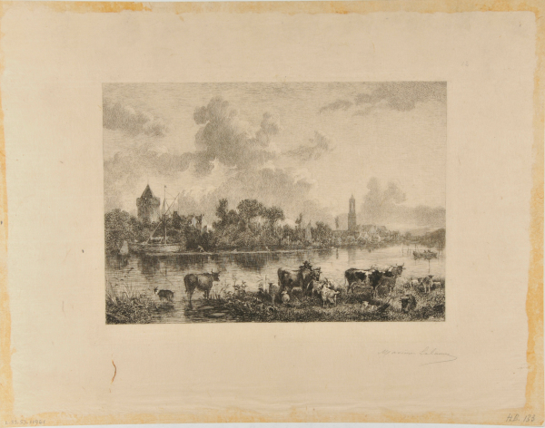 Animaux au pâturage