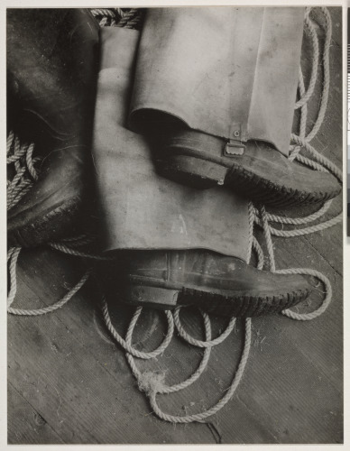 Martha’s Vineyard - Image 4