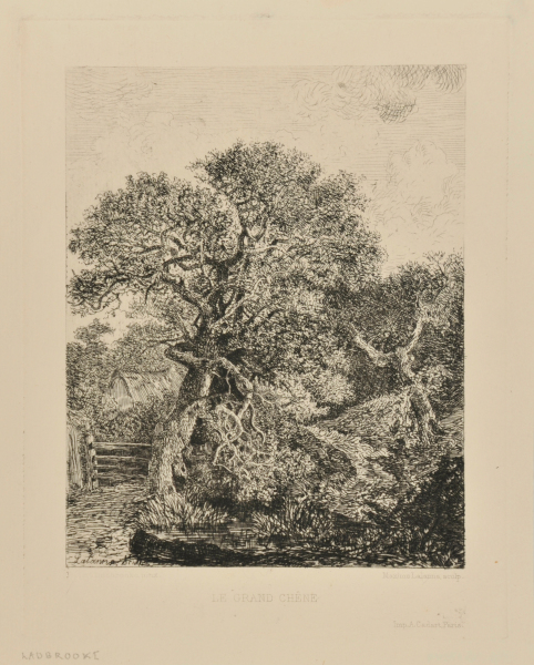 THE LARGE OAK