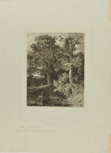 En forêt (crépuscule)