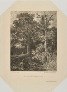 En forêt (crépuscule)