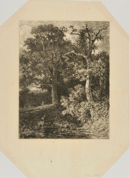 En forêt (crépuscule)