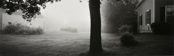 GLOESEL'S TREE, ROCKPORT, MAINE