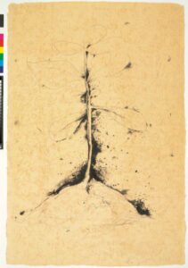 From the series “Lithographs of the Sculpture: The Plant Becomes a Fan”