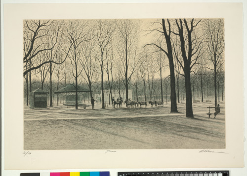 PONIES IN LUXEMBOURG GARDEN