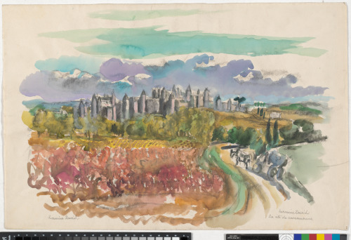 VINEYARD NEAR CARCASSONE