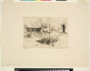 Backyard, Saint Tropez