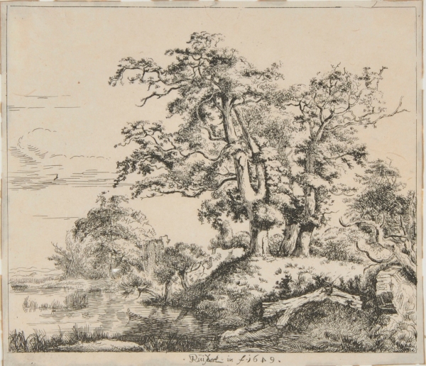 Three Oaks - Image 2