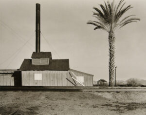 Powerhouse and Palm Tree, near Lordsburg, New Mexico