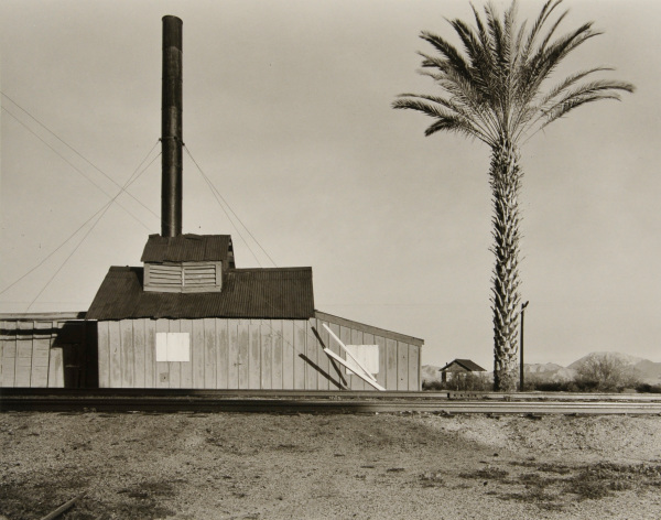 Powerhouse and Palm Tree, near Lordsburg, New Mexico - Image 4