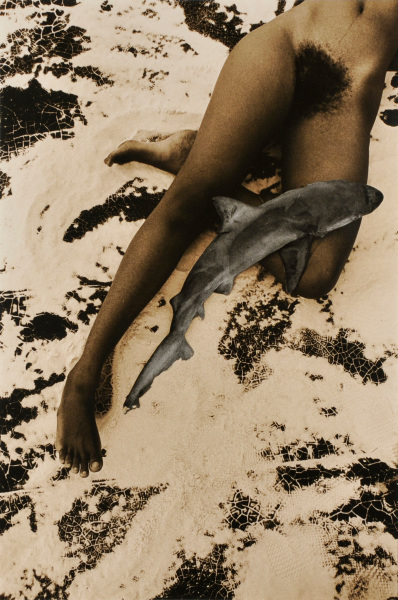 Jules Alexis Muenier