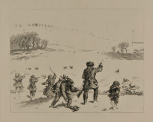 Battue aux lièvres (Hongrie)