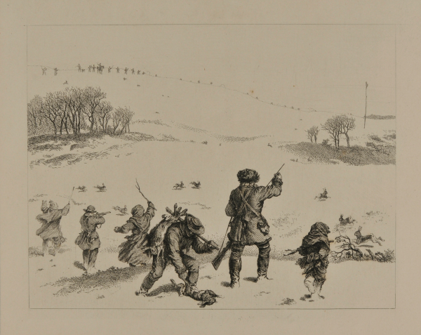 Battue aux lièvres (Hongrie)