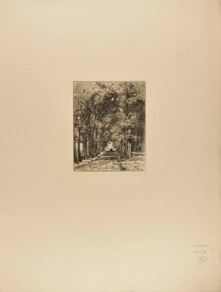 PATH IN THE PARC DE SAINT-CLOUD