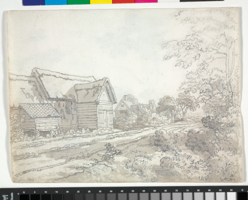 Hampstead (recto); Foliage (verso) - Image 1