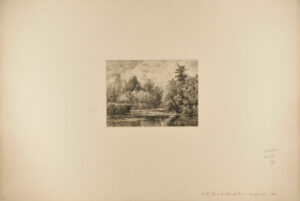 Île Amère in Montgeron