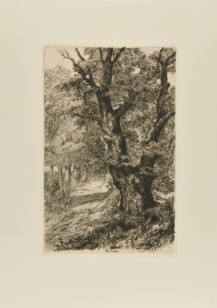 CHESTNUT TREES IN ROYAT (SECOND PLATE)