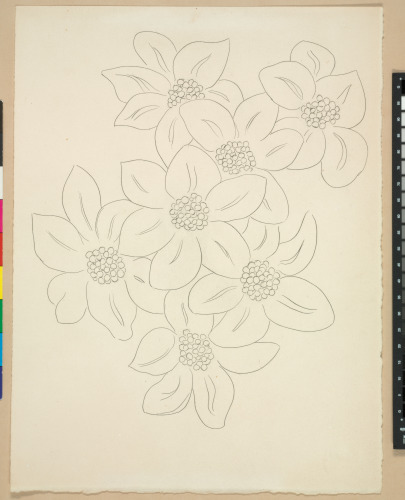 The Flowers (published state)