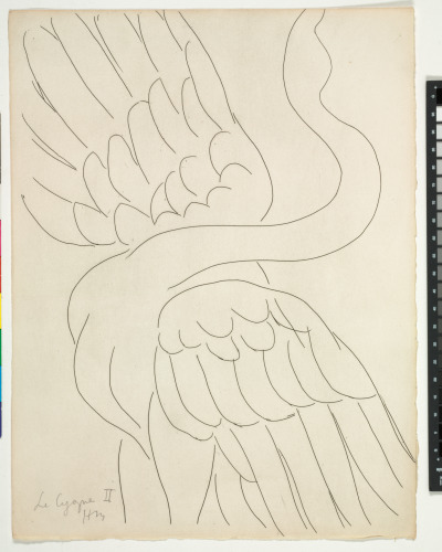 The Swan (refused etching)