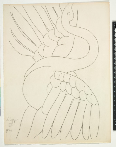 The Swan (refused etching)