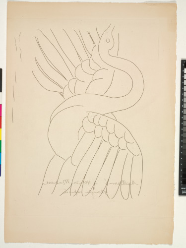 The Swan (refused etching, cancelled)