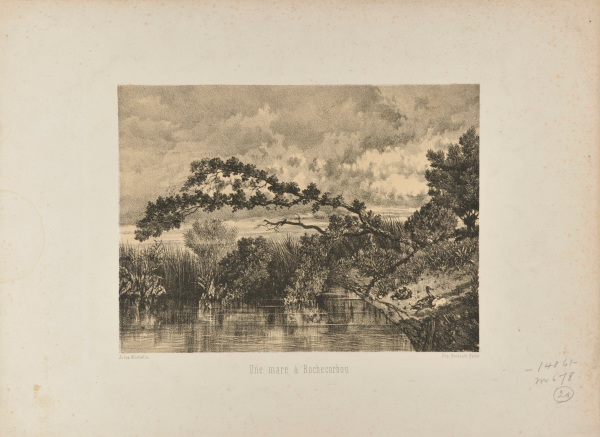 Une Mare à Rochecorbou