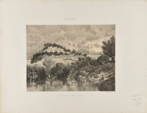 Une Mare à Rochecorbou