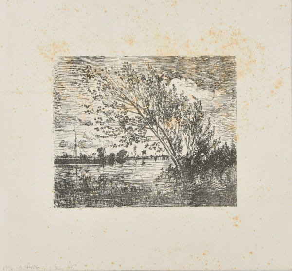 Le Bouquet d’aunes