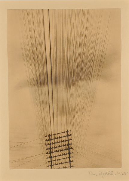 Telephone Wires, Mexico - Image 4