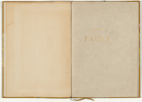 L’Après-Midi d’un Faune - Image 15