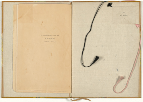 L’Après-Midi d’un Faune - Image 2