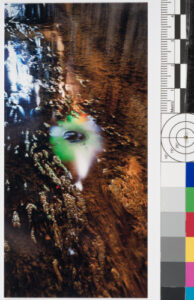 River Series / Shadow