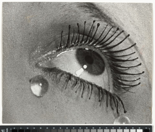Tears - Image 4
