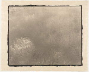 In a Meadow, Wales, UK