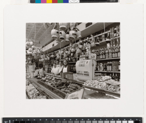 Stella Foods - Image 4