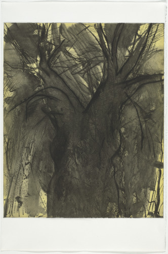 Desire in Primary Colors - Image 3