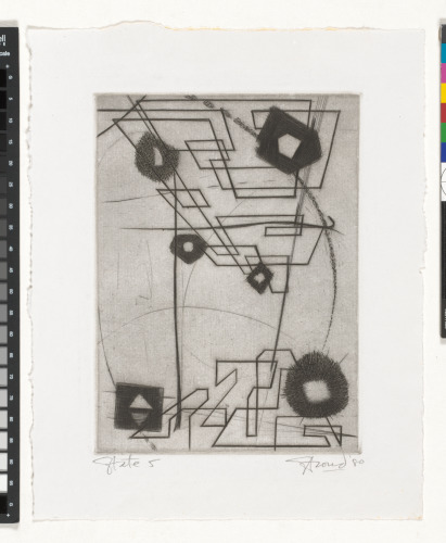 BURIN STUDIES (STATE 5)