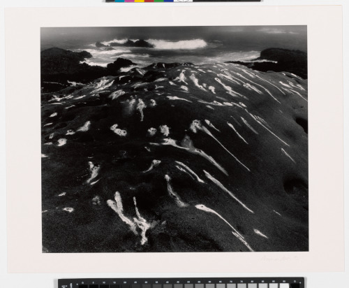 Birdlime and Surf, Point Lobos, California - Image 3