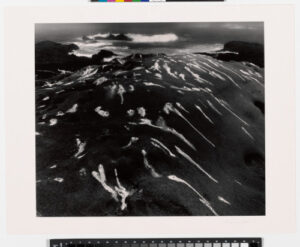 Birdlime and Surf, Point Lobos, California