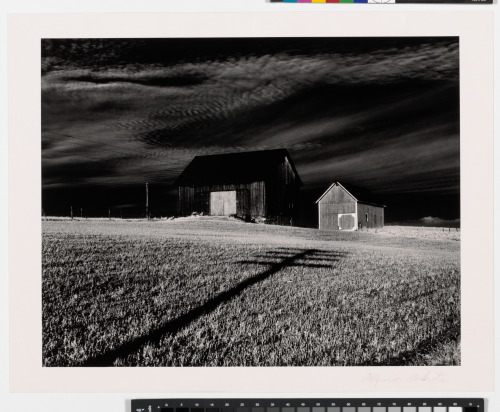 Two Barns, Dansville, New York - Image 2