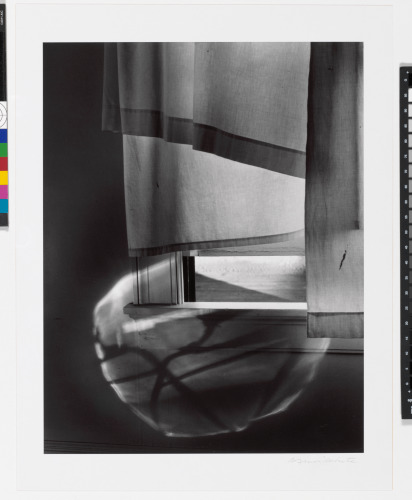 Windowsill Daydreaming, Rochester, New York - Image 2