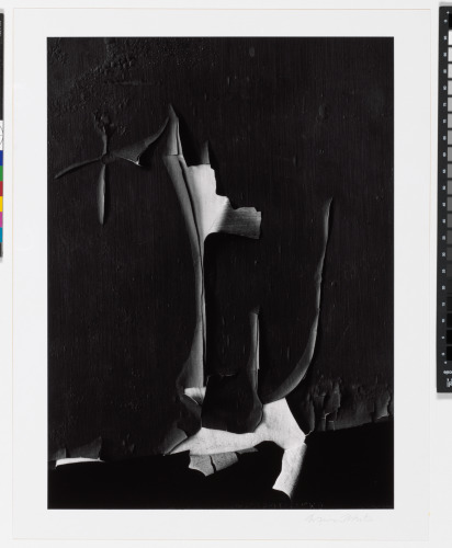 Peeled Paint, Rochester, New York - Image 3