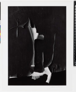 Peeled Paint, Rochester, New York