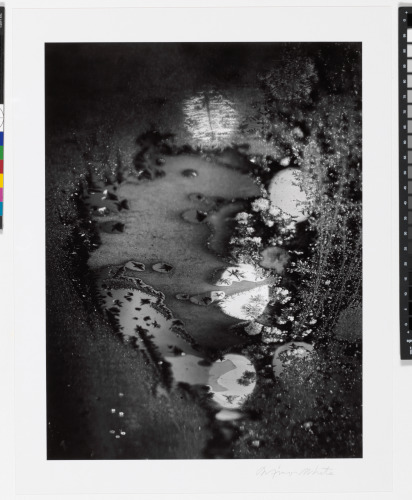 Beginnings, Rochester, New York - Image 2